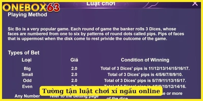 Tường tận luật chơi xí ngầu online